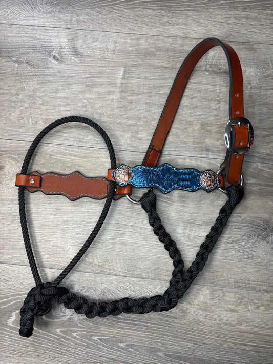 Lariat hybrid halter blue snake
