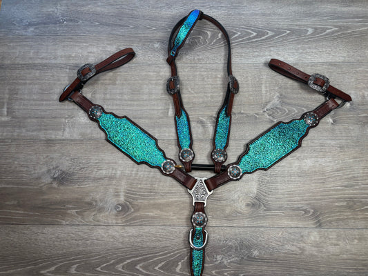 Premier shattered transition tack set
