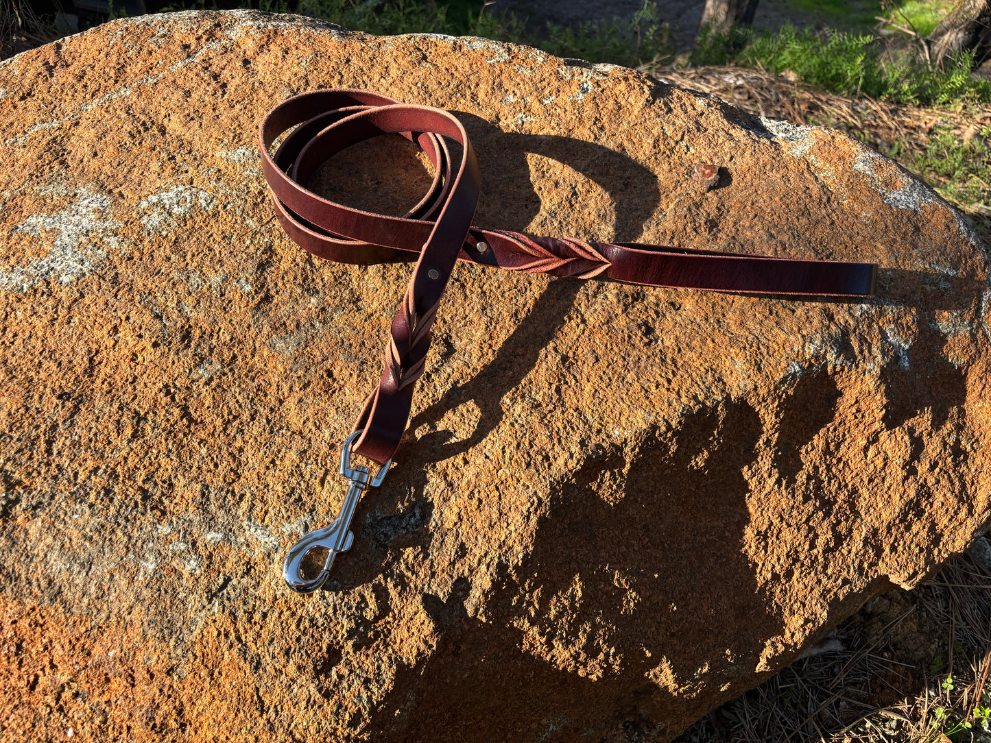 6 foot long 1” wide dog leash