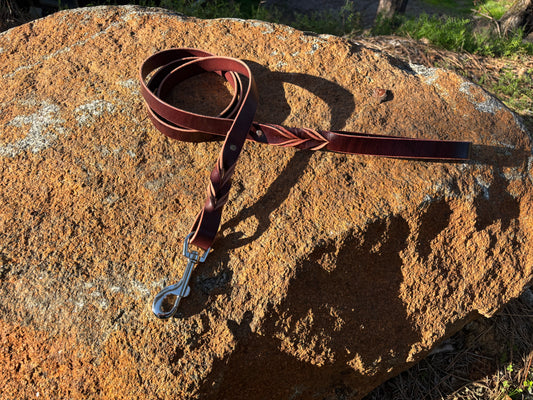 6 foot long 1” wide dog leash